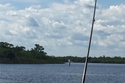 Land in Rotonda, Florida № 1846893 - photo 16