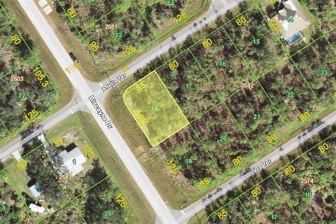 Land in Port Charlotte, Florida № 2212756