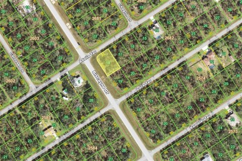 Land in Port Charlotte, Florida № 2212756 - photo 2