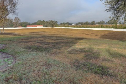 House in Bartow, Florida 4 bedrooms, 270.07 sq.m. № 1566820 - photo 25