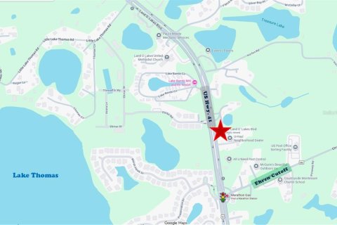 Commercial property in Land O' Lakes, Florida № 2312767 - photo 12