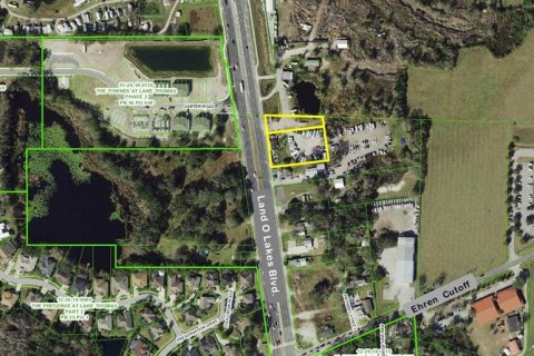 Commercial property in Land O' Lakes, Florida № 2312767