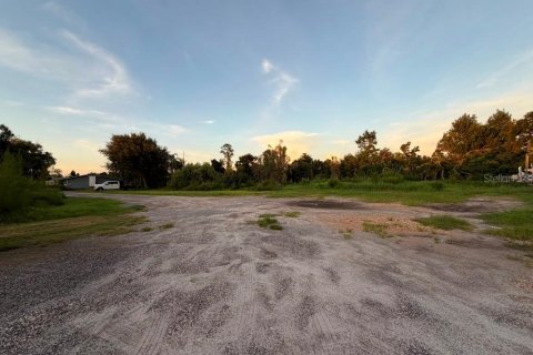 Commercial property in Land O' Lakes, Florida № 2312767 - photo 3