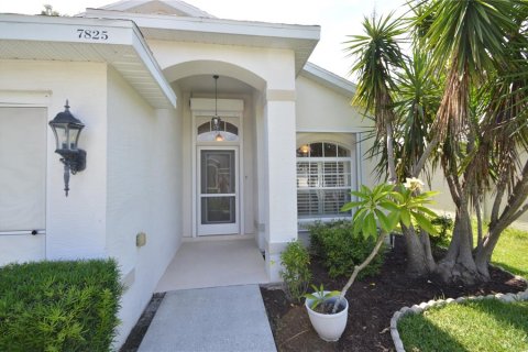 House in New Port Richey, Florida 3 bedrooms, 119.29 sq.m. № 1886245 - photo 5