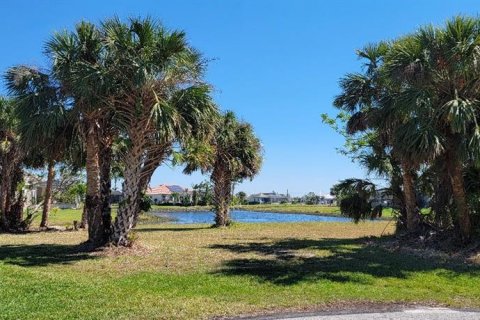 Land in Punta Gorda, Florida № 2393541 - photo 5