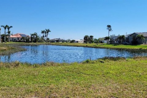 Land in Punta Gorda, Florida № 2393541