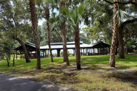 Land in Punta Gorda, Florida № 2393541 - photo 8
