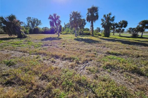 Land in Rotonda, Florida № 1522555 - photo 6