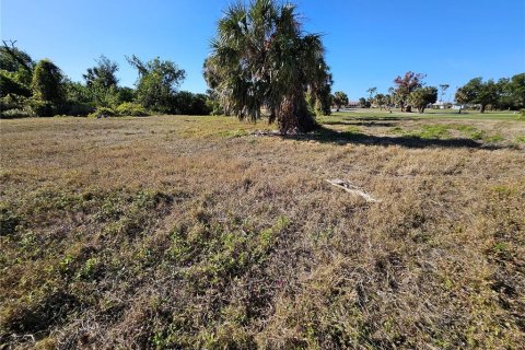 Land in Rotonda, Florida № 1522555 - photo 13