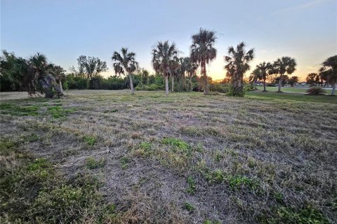 Land in Rotonda, Florida № 1522555 - photo 14