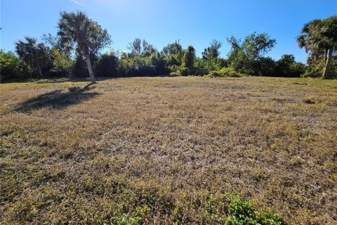 Land in Rotonda, Florida № 1522555 - photo 5