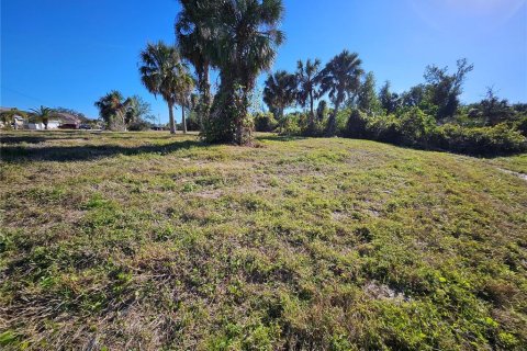 Land in Rotonda, Florida № 1522555 - photo 9
