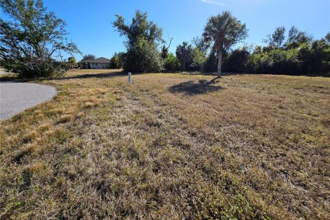 Land in Rotonda, Florida № 1522555 - photo 7