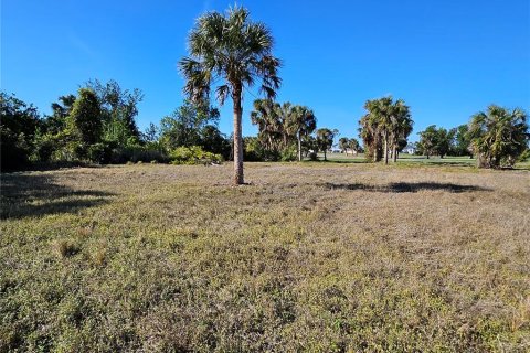 Land in Rotonda, Florida № 1522555 - photo 8