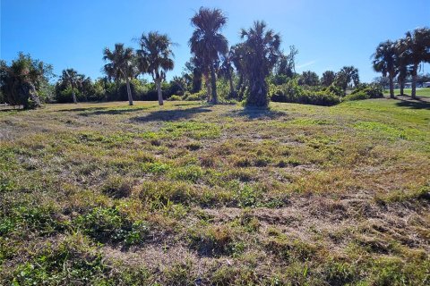 Land in Rotonda, Florida № 1522555 - photo 10