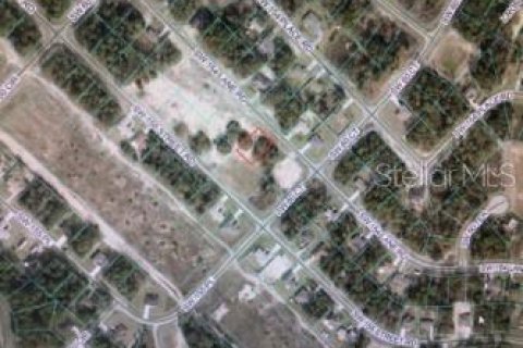 Terreno en venta en Ocala, Florida № 2167716 - foto 4