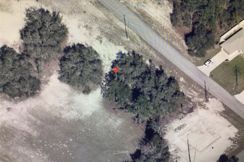 Terreno en venta en Ocala, Florida № 2167716 - foto 5