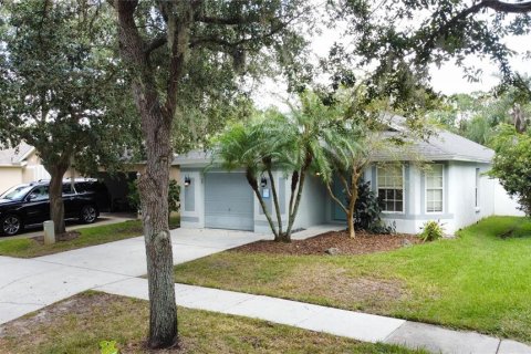 House in Fish Hawk, Florida 4 bedrooms, 139.63 sq.m. № 2367096