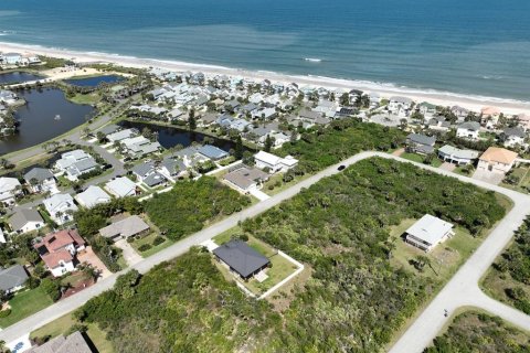 Land in Palm Coast, Florida № 1083232 - photo 4