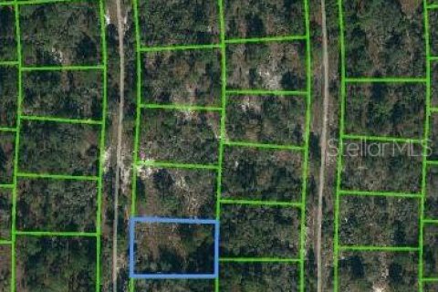 Land in Lake Placid, Florida № 2223966