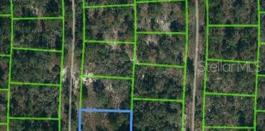 Land in Lake Placid, Florida № 2223966