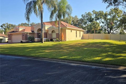House in Lutz, Florida 3 bedrooms, 240.25 sq.m. № 2206566 - photo 4