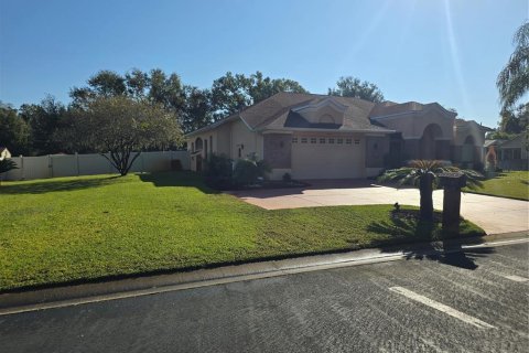 House in Lutz, Florida 3 bedrooms, 240.25 sq.m. № 2206566 - photo 6