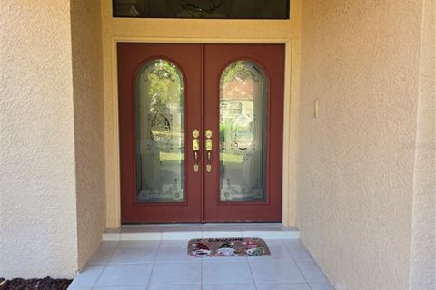 House in Lutz, Florida 3 bedrooms, 240.25 sq.m. № 2206566 - photo 7