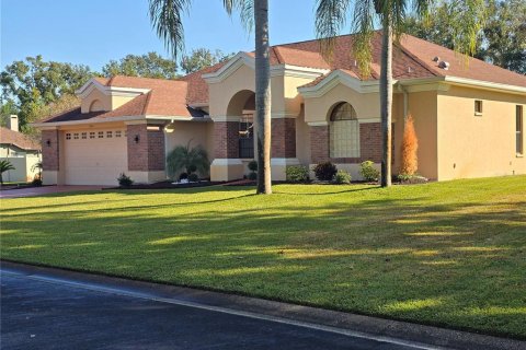 House in Lutz, Florida 3 bedrooms, 240.25 sq.m. № 2206566