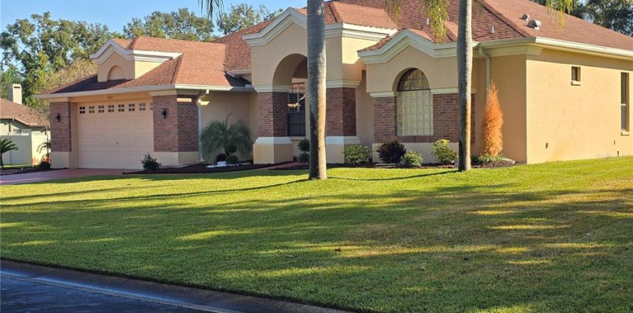 House in Lutz, Florida 3 bedrooms, 240.25 sq.m. № 2206566