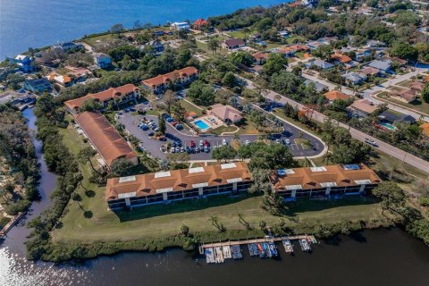 Condominio en Tarpon Springs, Florida, 2 dormitorios № 2150271