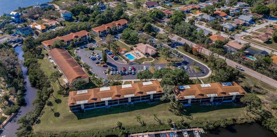 Condo à Tarpon Springs, Floride, 2 chambres № 2150271