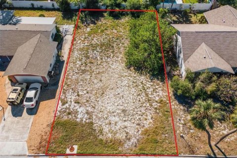 Land in Saint Petersburg, Florida № 2100190 - photo 9