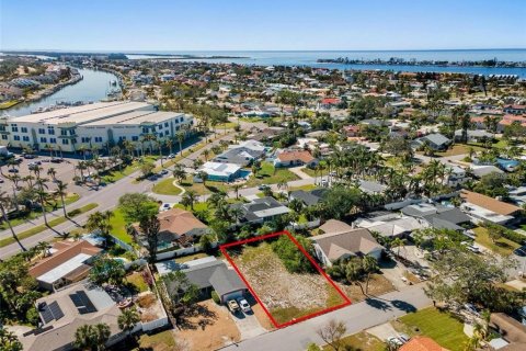 Land in Saint Petersburg, Florida № 2100190 - photo 8