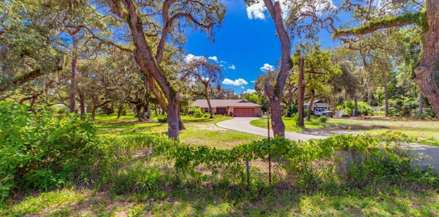 Casa en Hudson, Florida 3 dormitorios, 226.96 m2 № 1887097