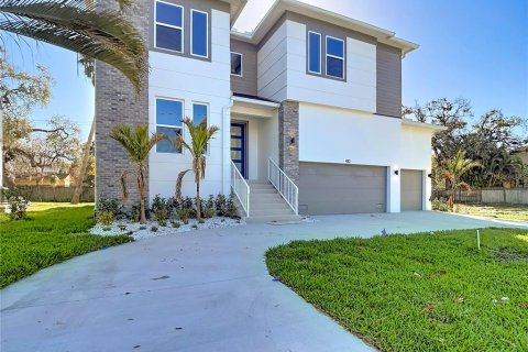 Casa en Tampa, Florida 5 dormitorios, 351.54 m2 № 2115683