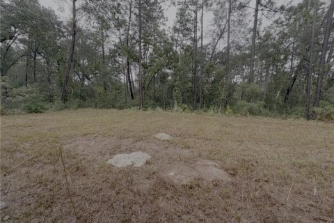 Villa ou maison à louer à Ocala, Floride: 4 chambres, 193.14 m2 № 2413988 - photo 25