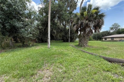 Terreno en venta en Lake Wales, Florida № 2102090 - foto 5