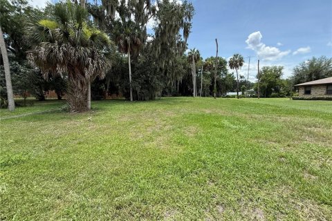 Terreno en venta en Lake Wales, Florida № 2102090 - foto 4