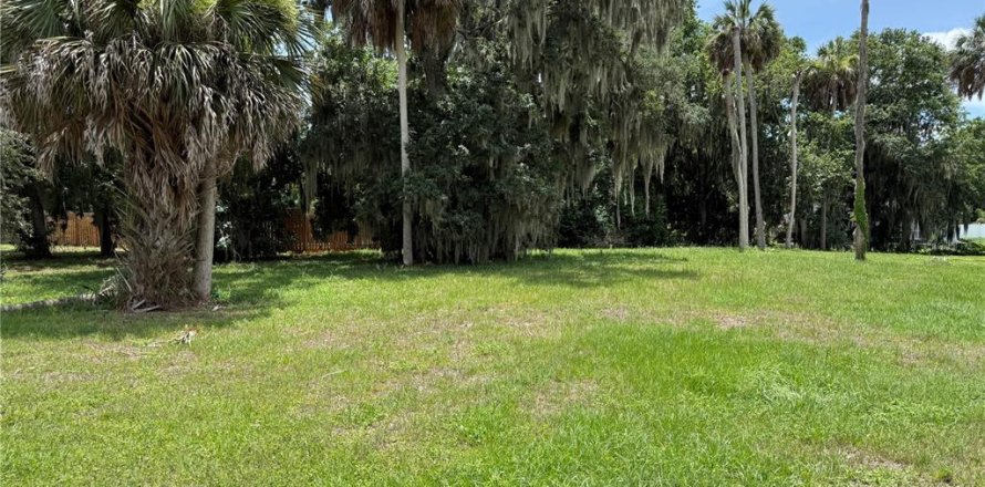 Terreno en Lake Wales, Florida № 2102090