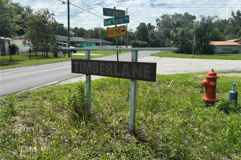 Terreno en venta en Lake Wales, Florida № 2102090 - foto 12