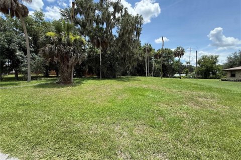 Terreno en venta en Lake Wales, Florida № 2102090 - foto 2