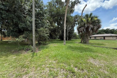 Terreno en venta en Lake Wales, Florida № 2102090 - foto 3