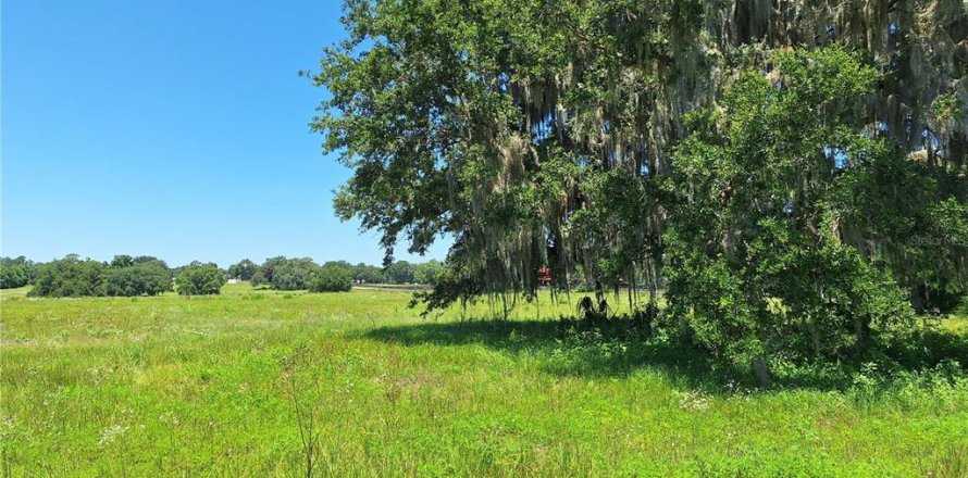 Land in Morriston, Florida № 1759651