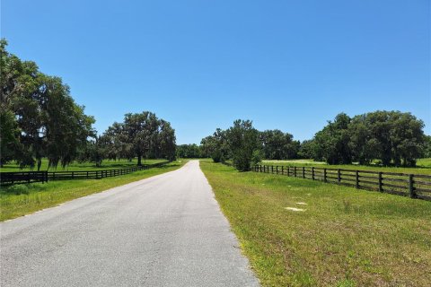 Land in Morriston, Florida № 1759651 - photo 2
