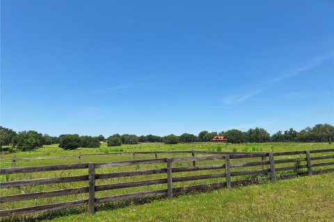 Land in Morriston, Florida № 1759651 - photo 14