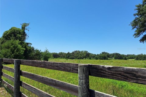 Land in Morriston, Florida № 1759651 - photo 9