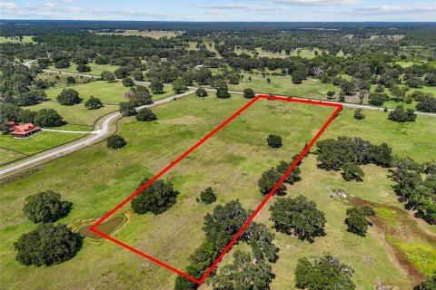 Land in Morriston, Florida № 1759651 - photo 4