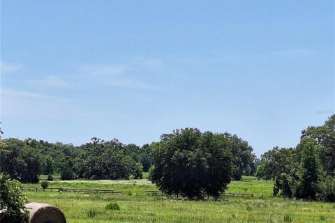 Land in Morriston, Florida № 1759651 - photo 10