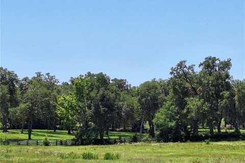 Land in Morriston, Florida № 1759651 - photo 15